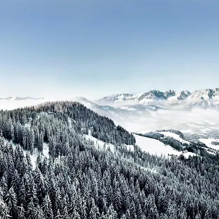 Hagsteiner Kitzbühel